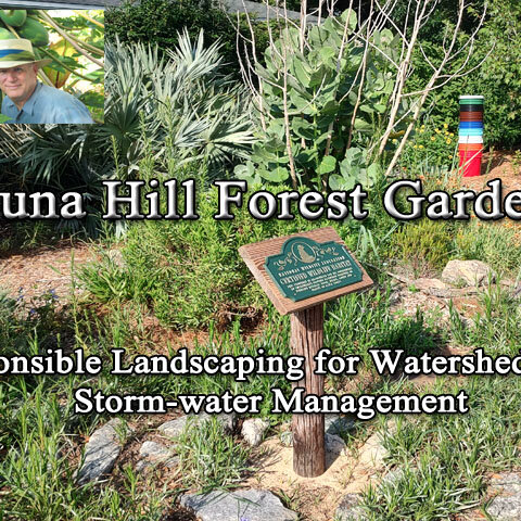 responsible landscaping for watershed roi. storm water management