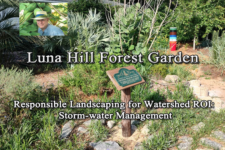 responsible landscaping for watershed roi. storm water management